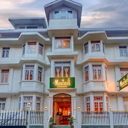 Muscatel Spring Burn - 100 Mts From Mall Road Darjeeling  Esterno foto