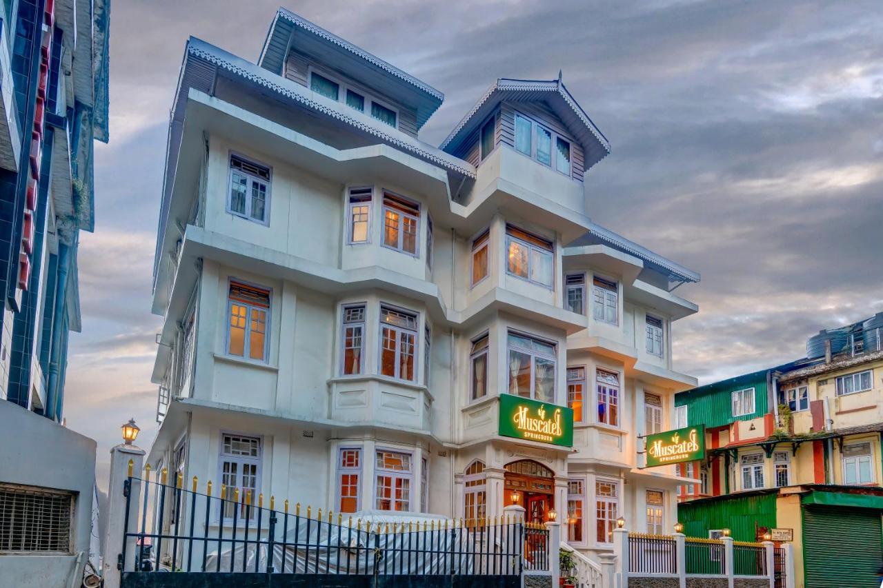 Muscatel Spring Burn - 100 Mts From Mall Road Darjeeling  Esterno foto